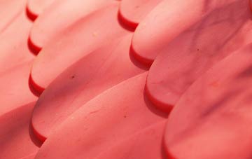 Coalsnaughton plastic roof costs