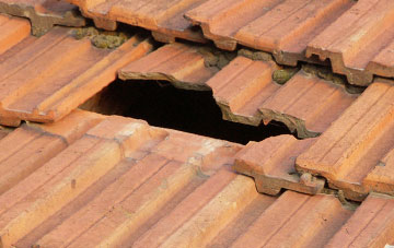 roof repair Coalsnaughton, Clackmannanshire